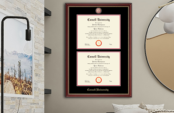 Cornell University double degree frame on office wall