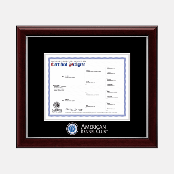 american kennel club pedigree certificate frame with the AKC logo at the bottom center