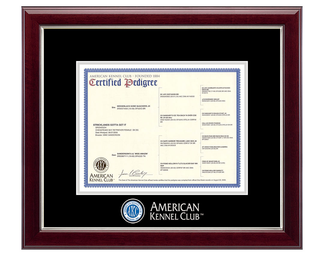 AKC American Kennel Club certificate frame 
