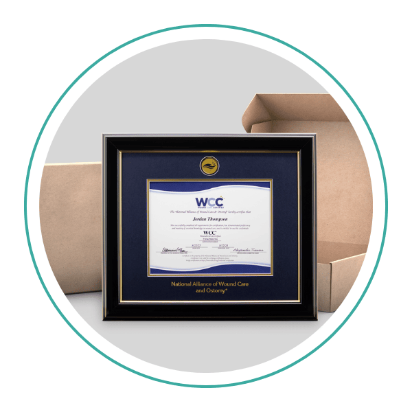 WCC Framed Certificate with shipping boxes