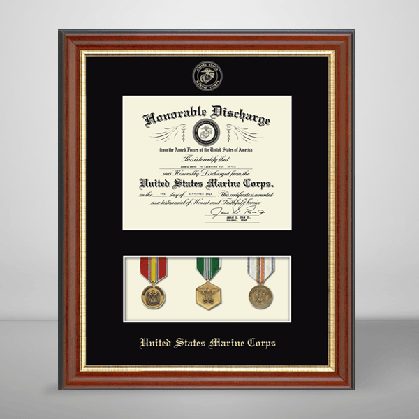 Military Medals Display and Document Frame