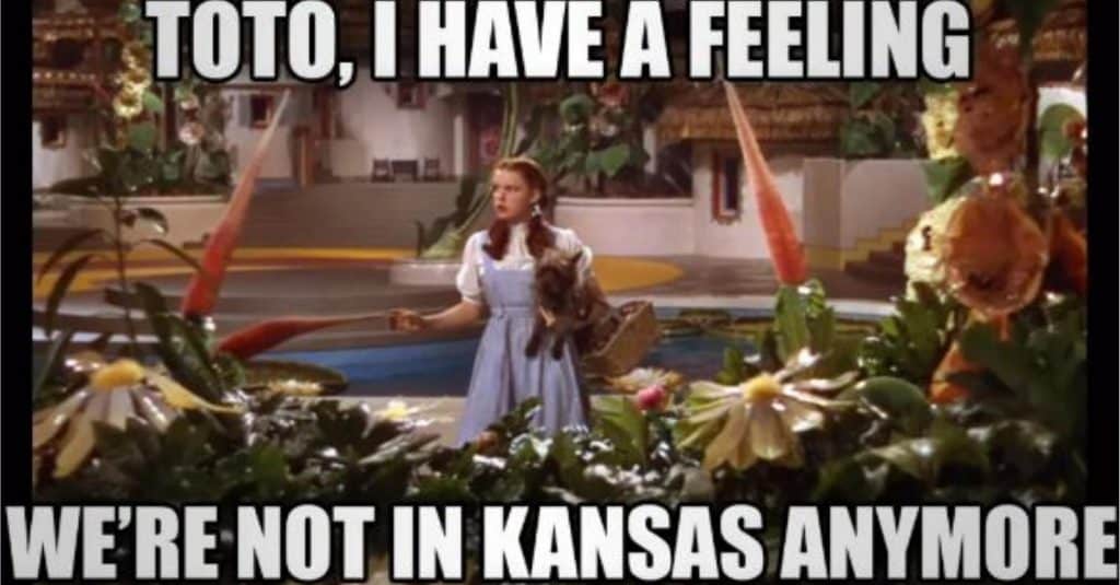 dorothy not in kansas anymore