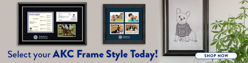 AKC photo and certificate frames on wall banner