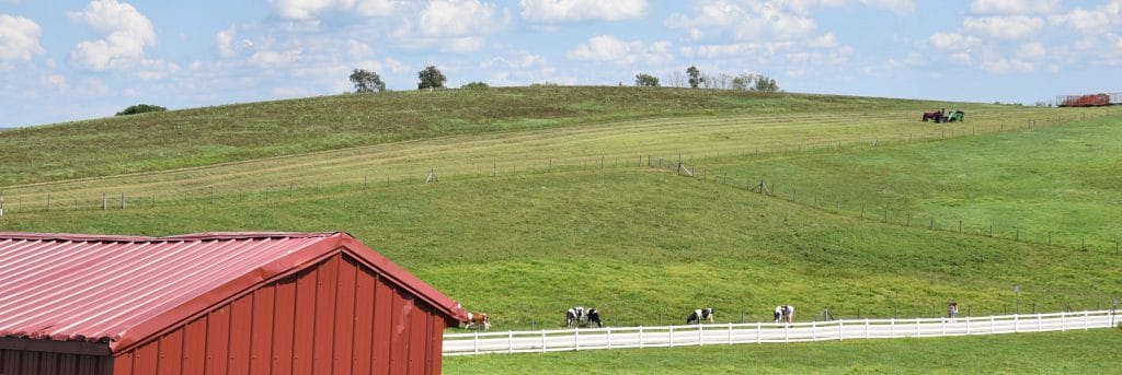 horsebarn hill at uconn