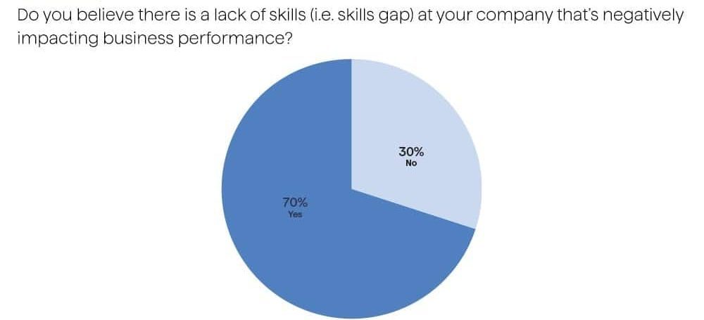 circle graph depicting lack of skills that negatively affects business performance