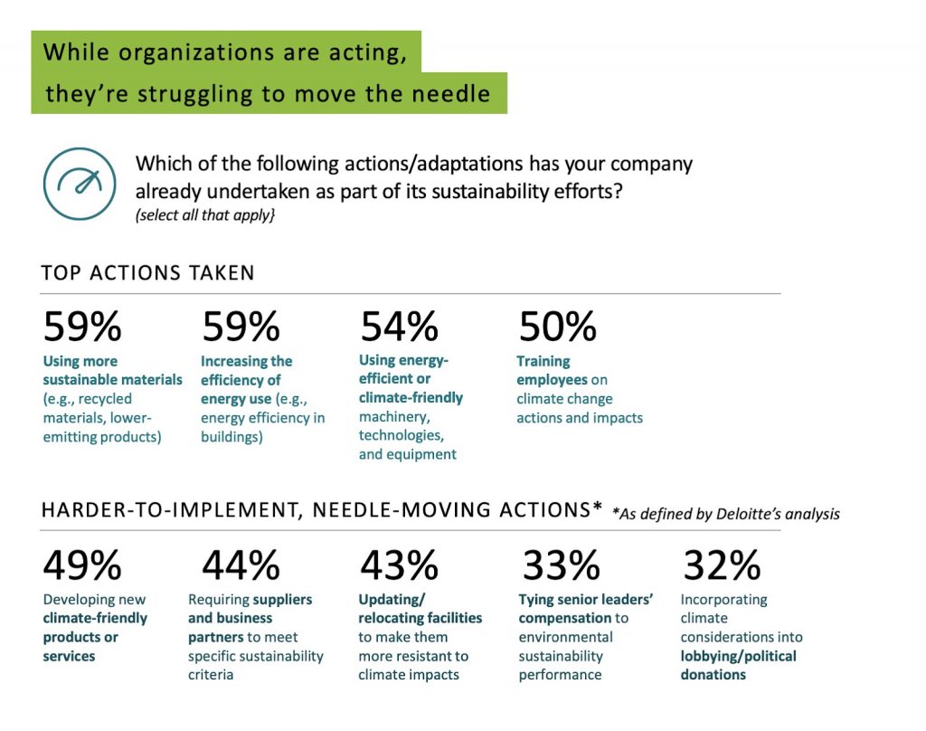 Statistics about actions companies have undertaken as part of their sustainability efforts as defined by Deloitte's analysis