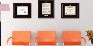 Waiting room with three orange chairs, framed Hippocratic Oath, and two medical degree frames on wall with pink lamp to one side and colorful houseplant on table on other side of chairs.