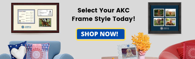 AKC frames banner