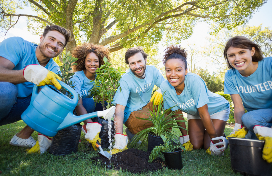 military volunteers