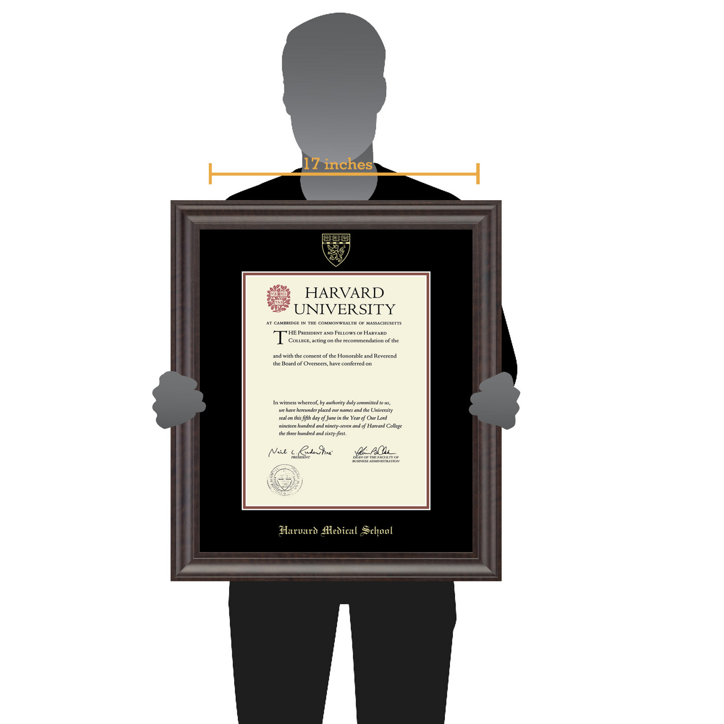 Harvard University Gold Embossed Diploma Frame in Acadia Item 138396