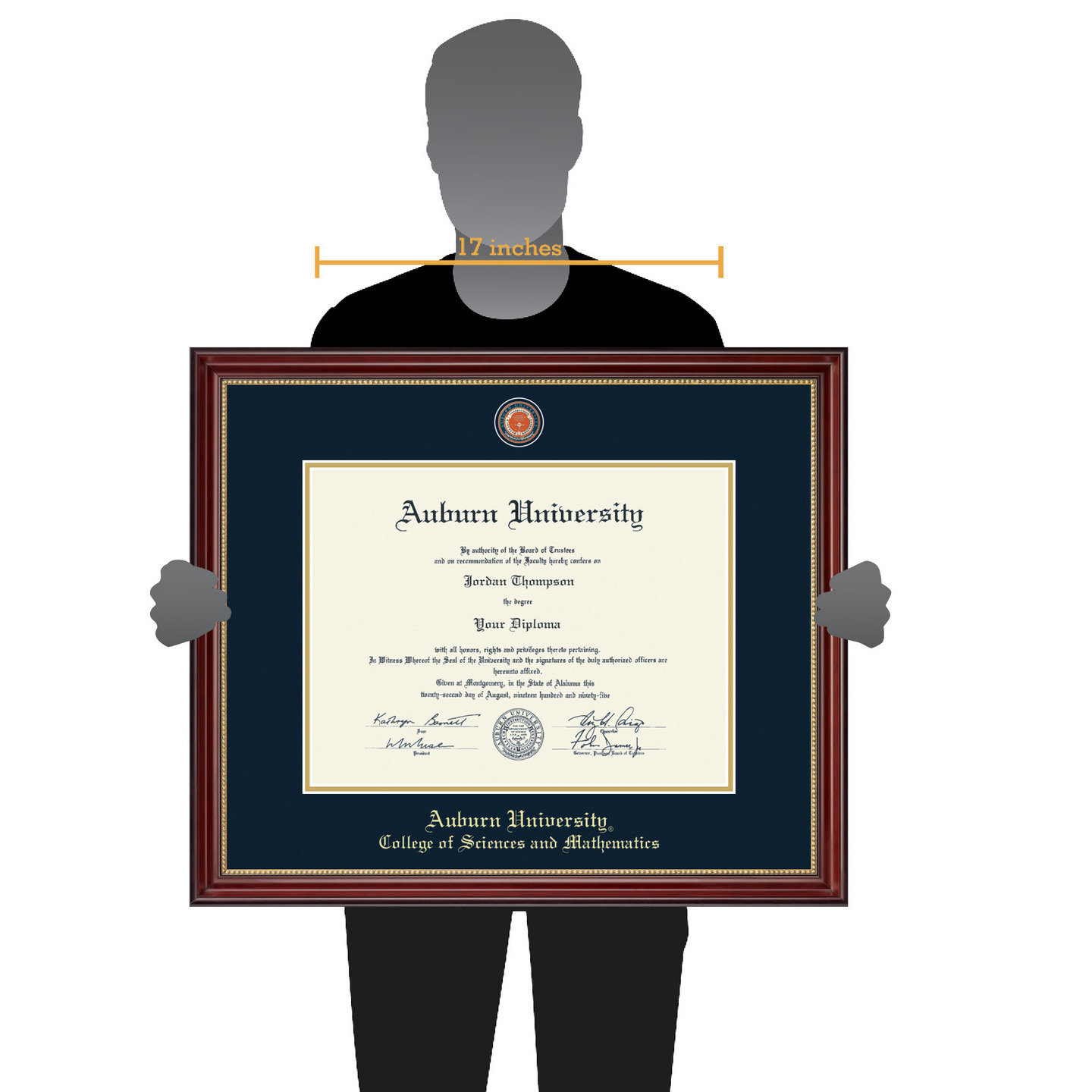 Auburn University Masterpiece Medallion Diploma Frame in Kensington