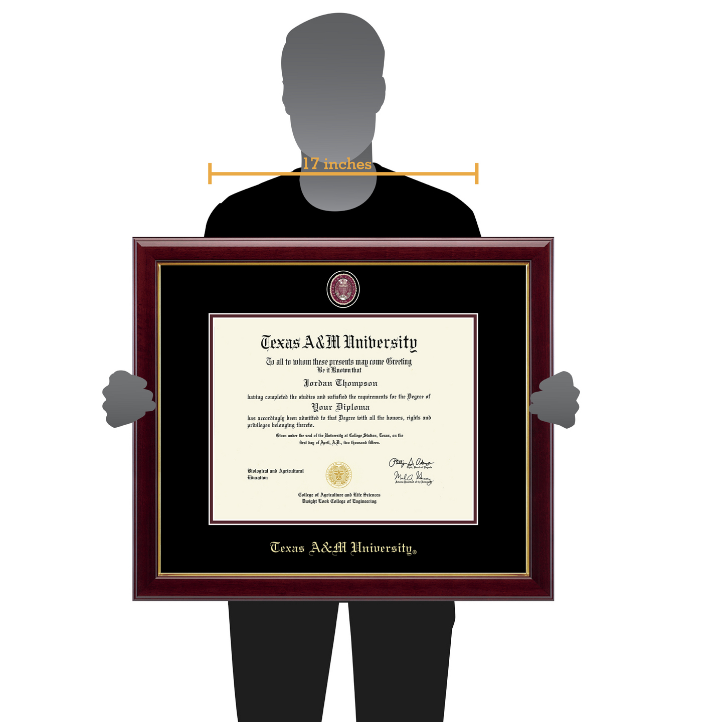 Texas A&M University Masterpiece Medallion Diploma Frame in Gallery