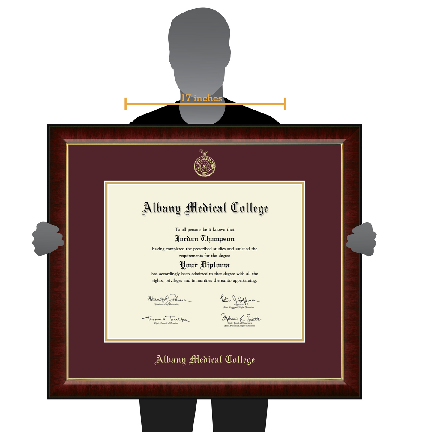 Albany Medical College Gold Embossed Diploma Frame in Murano Item 272559