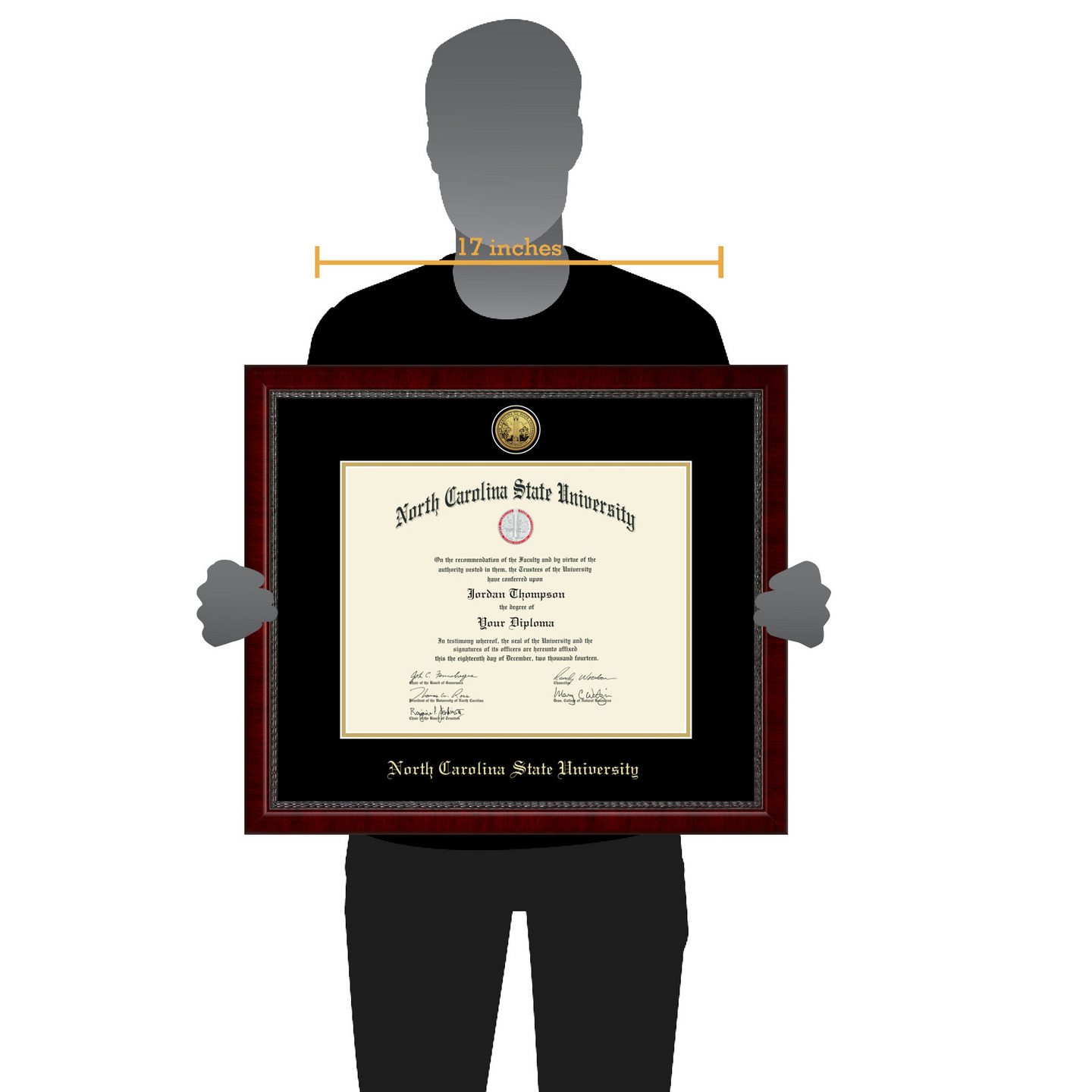 North Carolina State University Gold Engraved Medallion Diploma Frame 