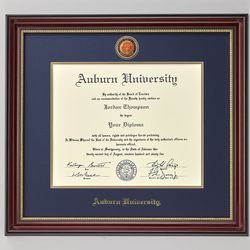 Buy Replacement Master Degree Diploma – Doc Printers