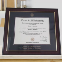 Gold Embossed Diploma Frame in Signature Daytona State College - Item  #202757