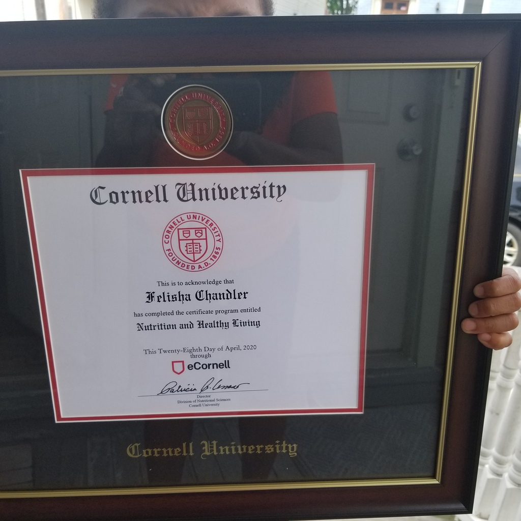 cornell university frame