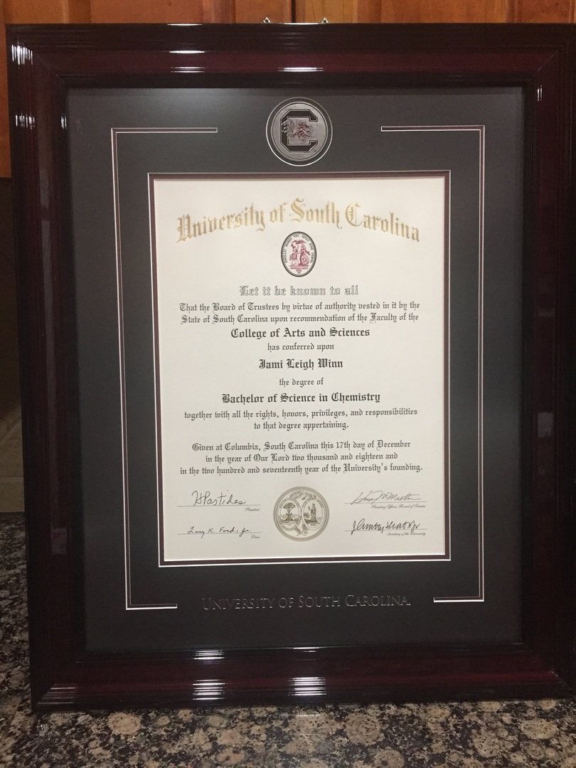 University of South Carolina degree frame in Encore moulding