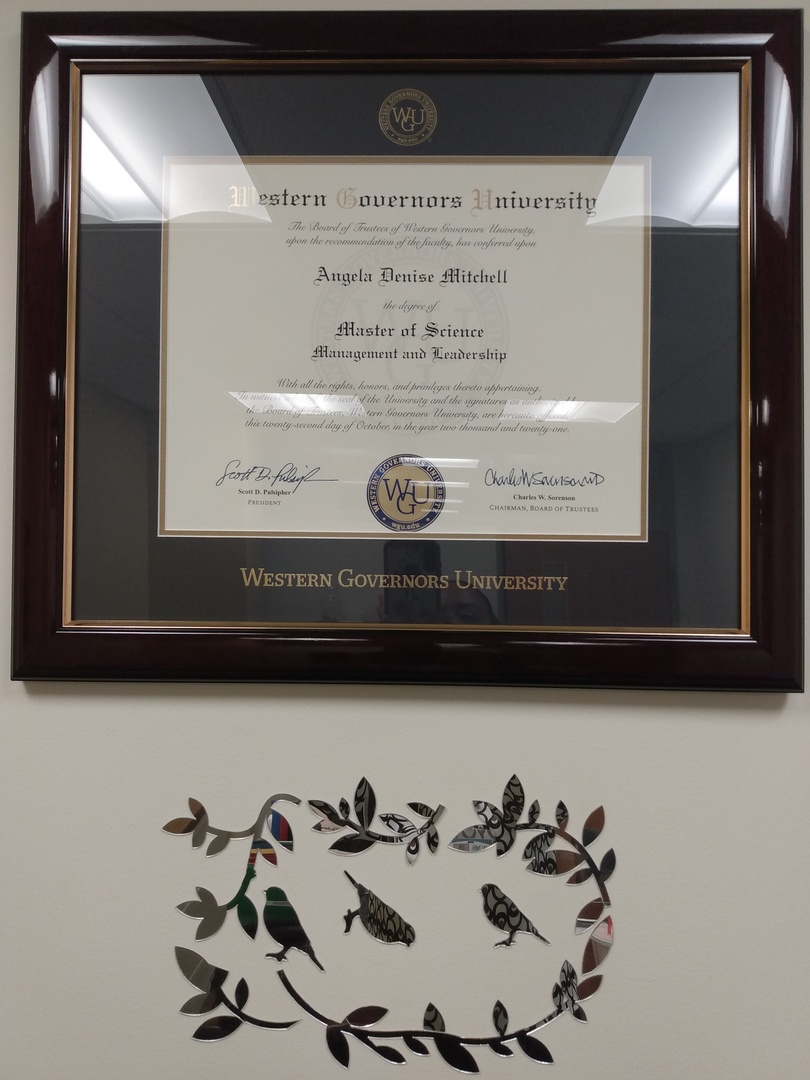 Document Size 11 x 8.5 Western Governors University Gold Embossed Tassel Diploma Frame Officially Licensed 