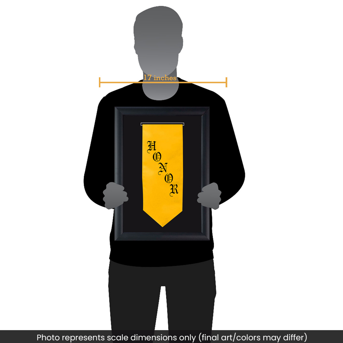 Penn Foster College Graduation Stole Frame in Obsidian Item 388960