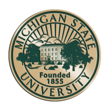 Michigan State University Diploma Frame | Church Hill Classics