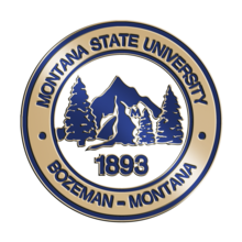 Montana State Bozeman Diploma Frame | Custom Frames Online