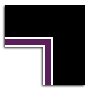 Black / Plum