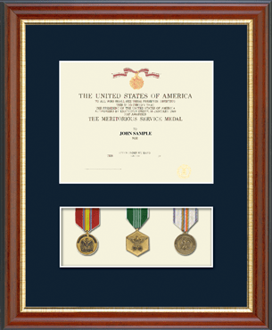 Military Certificate and Medal Display Frame - (Navy) in Newport