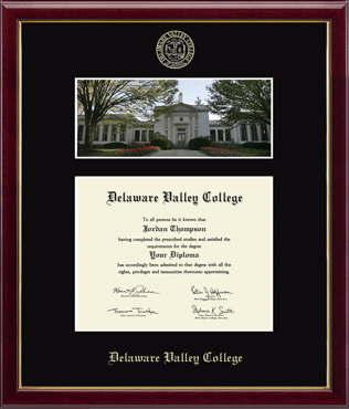 Delaware Valley University Campus Scene Diploma Frame in Galleria