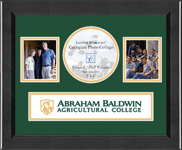 Abraham Baldwin Agricultural College Lasting Memories Banner Collage Photo Frame in Arena