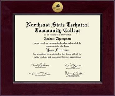 Northeast State Community College Century Gold Engraved Diploma Frame in Cordova