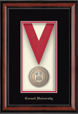Cornell University Gold Embossed Edition Medal Frame in Southport