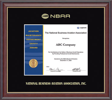 National Business Aviation Association Gold Embossed Certificate Frame in Studio Gold