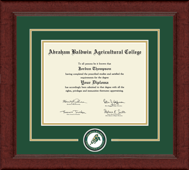 Abraham Baldwin Agricultural College Lasting Memories Circle Logo Diploma Frame in Sierra