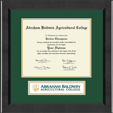 Abraham Baldwin Agricultural College Lasting Memories Banner Diploma Frame in Arena