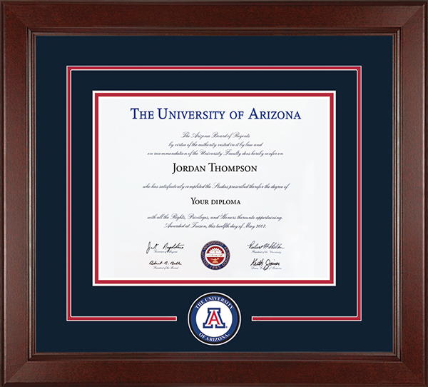 The University of Arizona Lasting Memories Circle Logo Diploma Frame in Sierra
