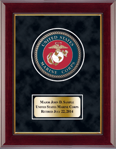 United States Marine Corps U.S. Marine Corps Masterpiece Medallion Award Frame in Gallery