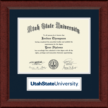 Utah State University Lasting Memories Banner Diploma Frame in Sierra