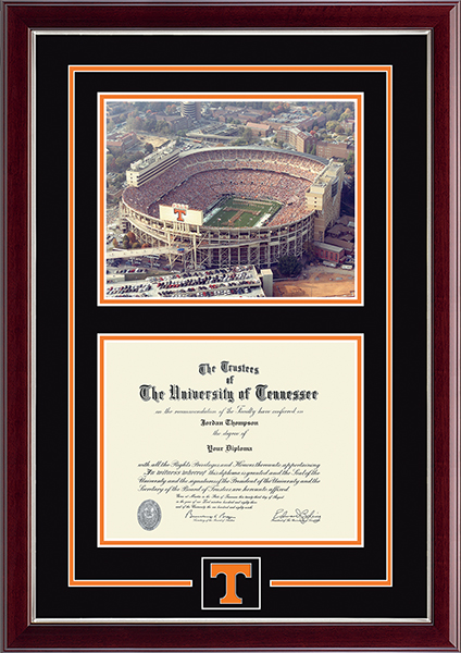 The University of Tennessee Knoxville Campus Scene Spirit Medallion Diploma Frame in Gallery Silver