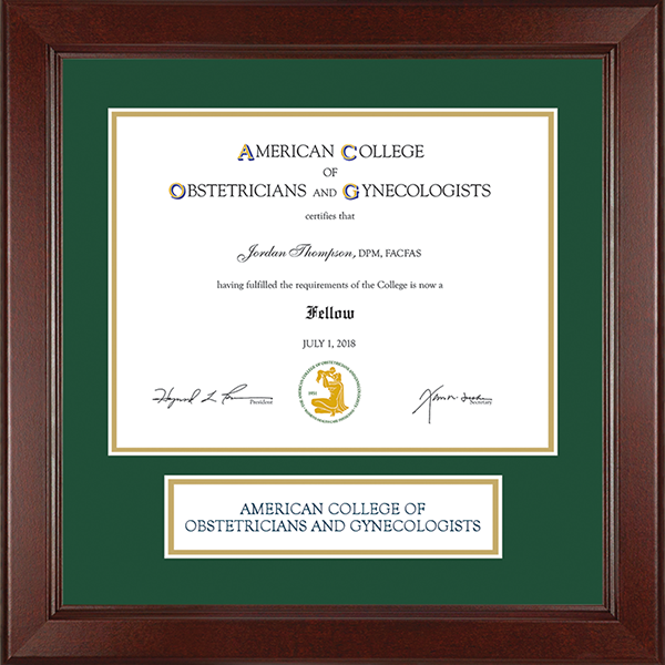 American College of Obstetricians & Gynecologists Lasting Memories Banner Certificate Frame in Sierra