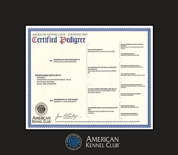 American Kennel Club Spectrum Wall Certificate Frame in Expo Black