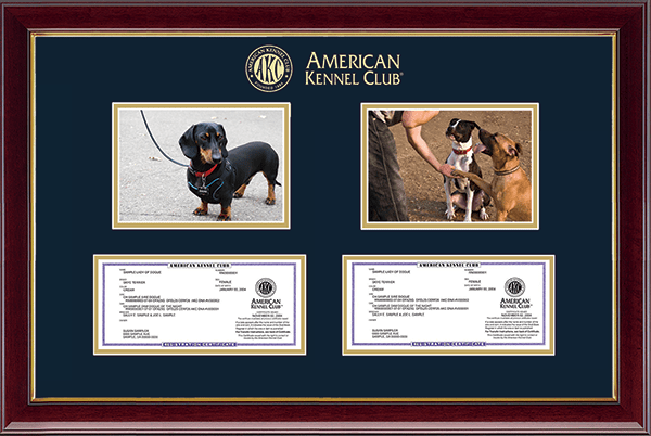 American Kennel Club Double Photo/Registration Frame in Gallery