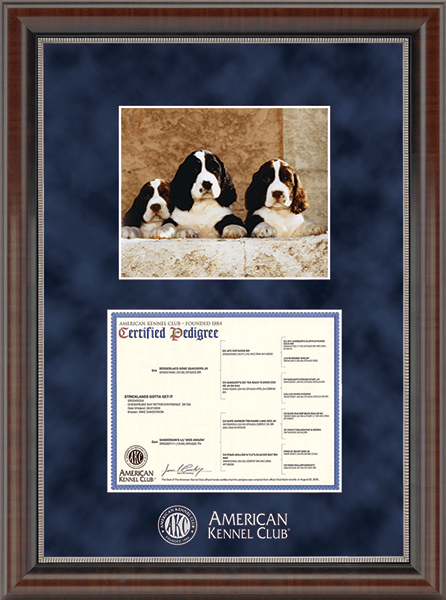 American Kennel Club Silver Embossed Pedigree & 8" x 10" Photo Frame in Chateau