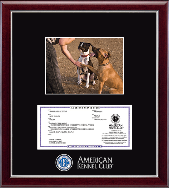 American Kennel Club Masterpiece Medallion Registration & 5" x 7" Photo Frame in Gallery Silver