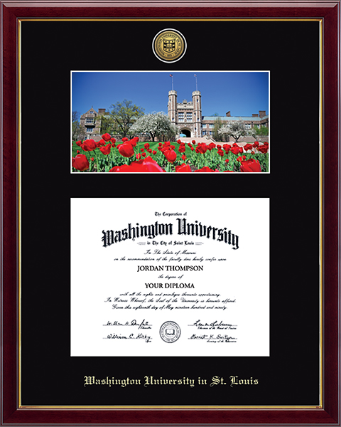 Washington University in St. Louis Gold Engraved Medallion Campus Scene Diploma Frame in Galleria