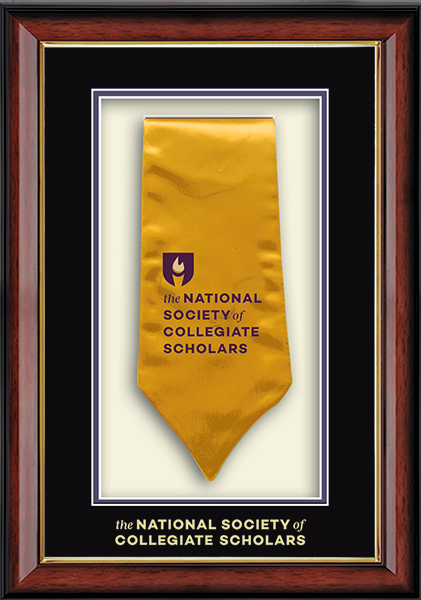The National Society of Collegiate Scholars Commemorative Stole Shadow Box Frame in Southport Gold