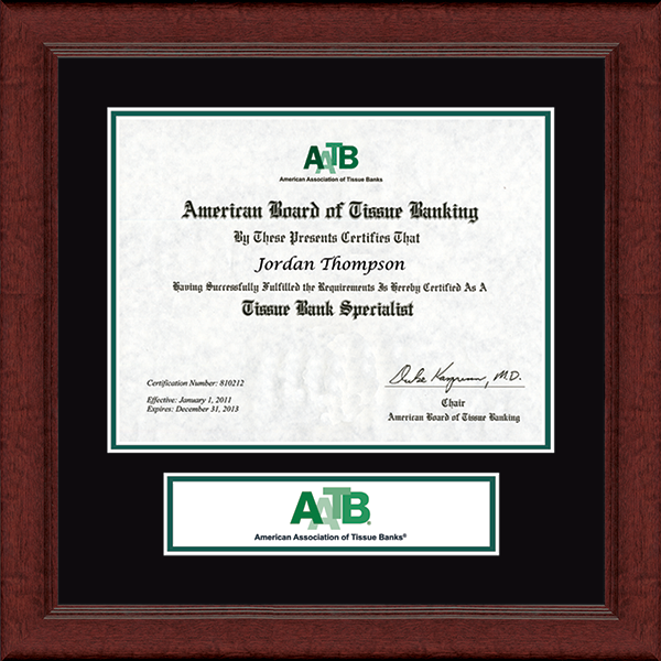 American Association of Tissue Banks Lasting Memories Certificate Banner Frame in Sierra