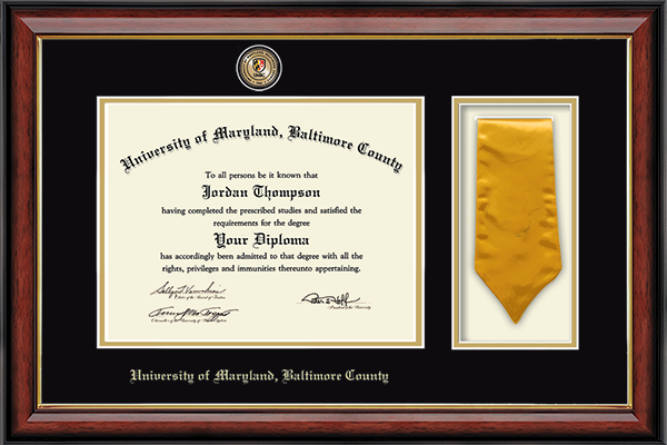 Sash Diploma Frame in Southport Gold University of Maryland, Baltimore ...