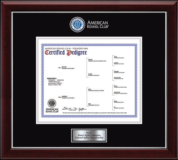 American Kennel Club certificate frame - Masterpiece Medallion Pedigree Frame in Gallery Silver