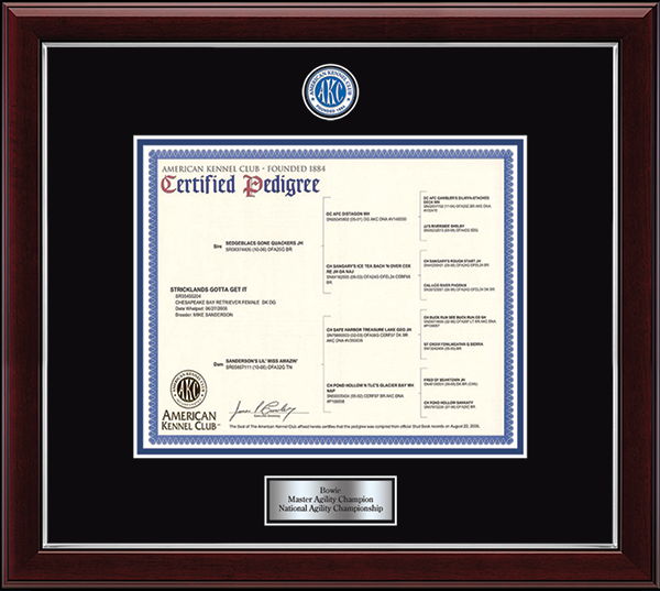 American Kennel Club certificate frame - Masterpiece Medallion Pedigree Frame in Gallery Silver